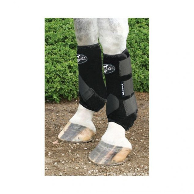 Protec Professional's Choice