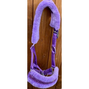 Licol shetland moumoute