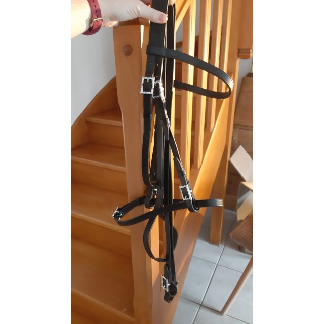 Filet/bridon portugais