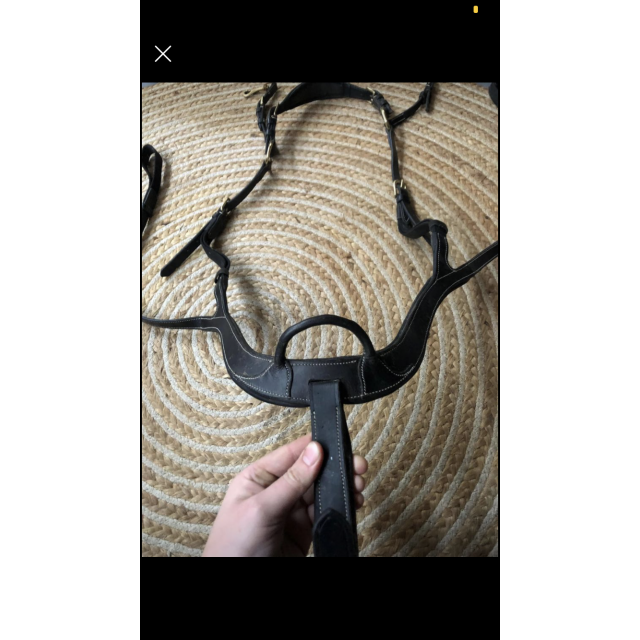 Collier de chasse 5 points Jacson