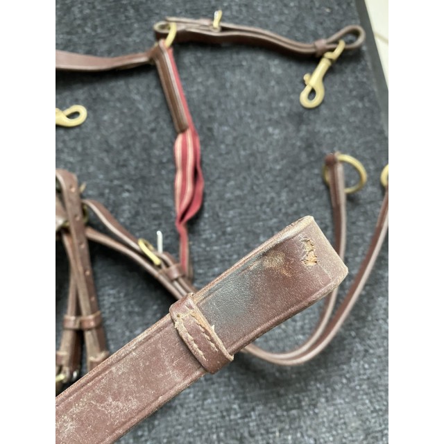 Collier de chasse martingale