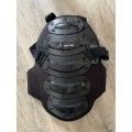 coque dorsale