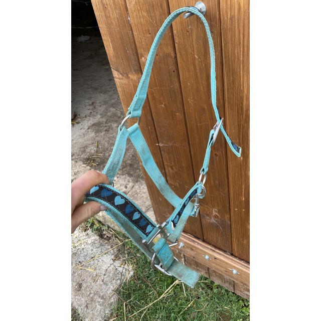 Licol taille shetland