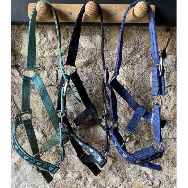 Licol taille shetland