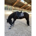 Tapis kentucky dressage