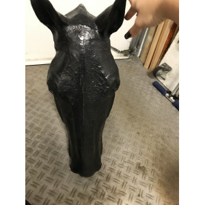 Tête de cheval