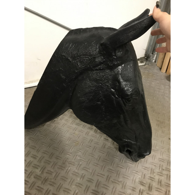 Tête de cheval