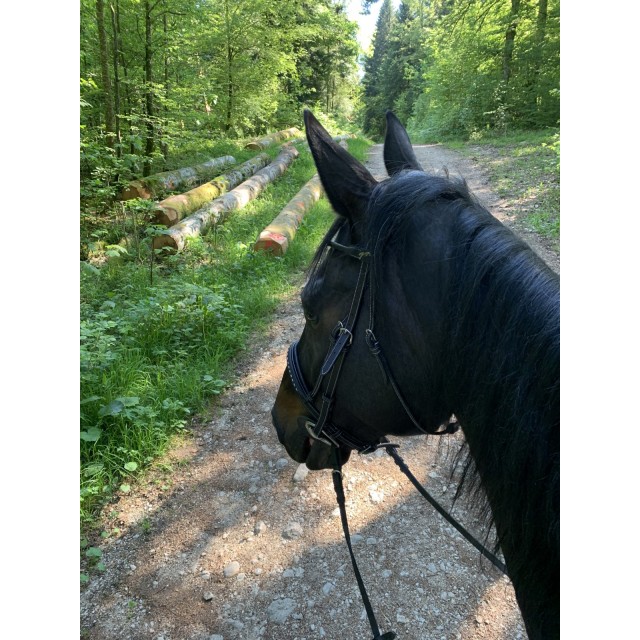 Bridon Pénélope Full