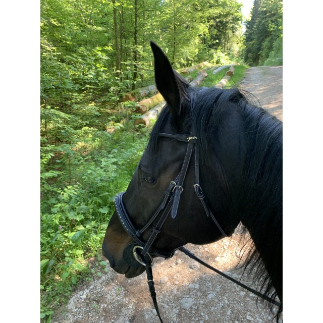 Bridon Pénélope Full