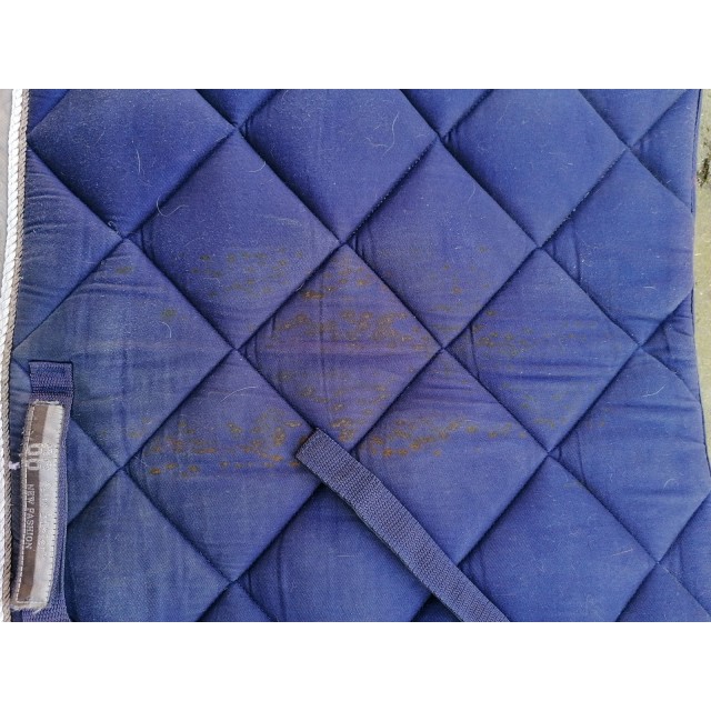 Tapis Felix Bühler