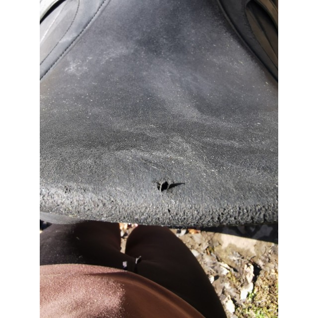 Wintec isabell werth