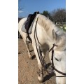 Filet Equipe
