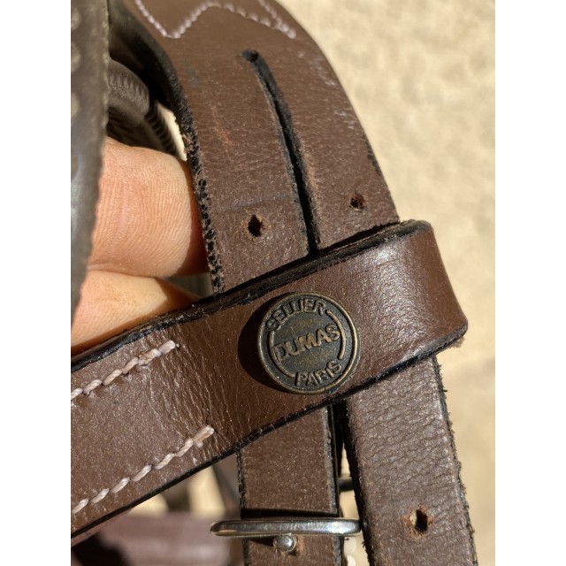 Filet sellerie Dumas