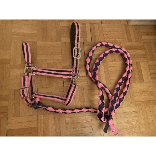 Licol rose et marine + longe assortie