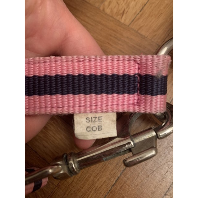 Licol rose et marine + longe assortie