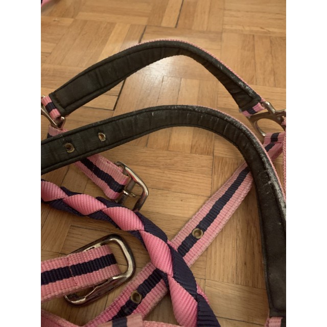 Licol rose et marine + longe assortie