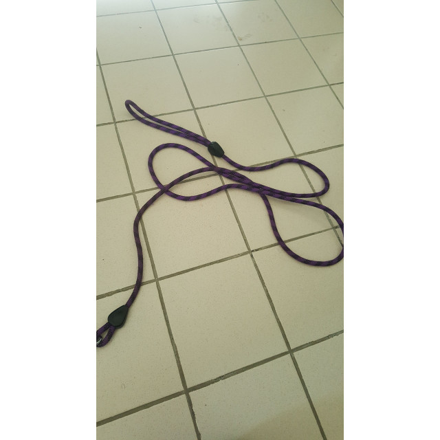 Livol ethologique + longe