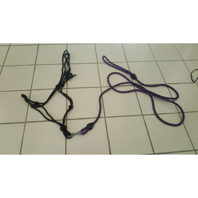 Livol ethologique + longe