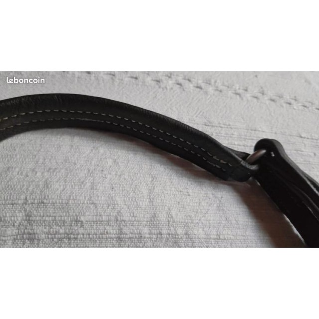 Muserolle CWD sellier Cheval filet equitation CSO bridon