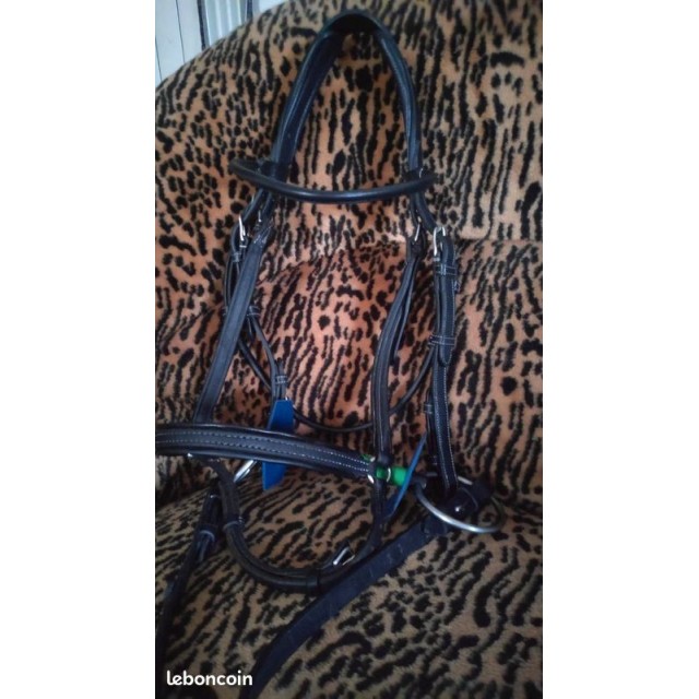 Muserolle CWD sellier Cheval filet equitation CSO bridon