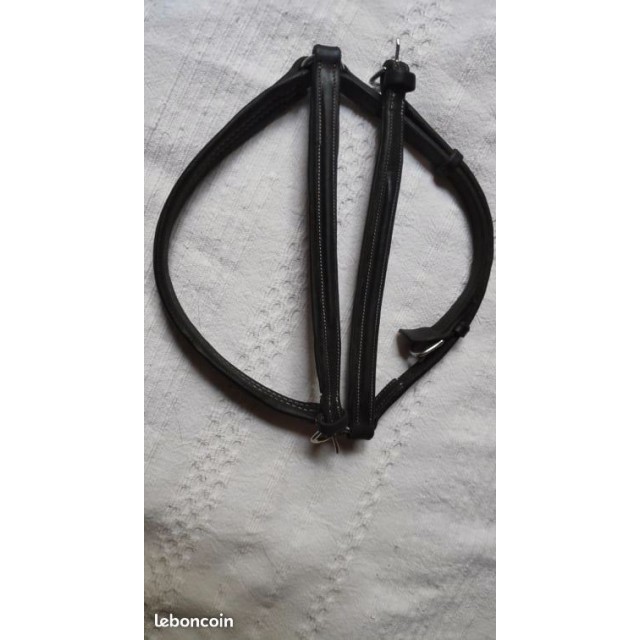 Muserolle CWD sellier Cheval filet equitation CSO bridon