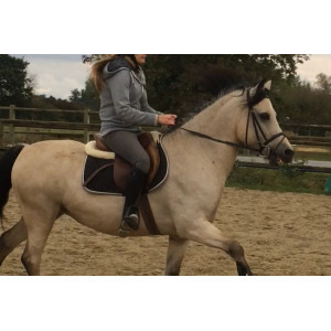 Tapis noir Equithème