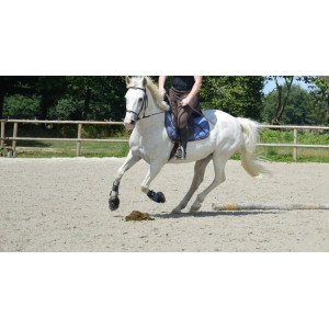 Guêtres ouvertes bleu roi