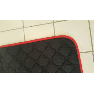 Tapis