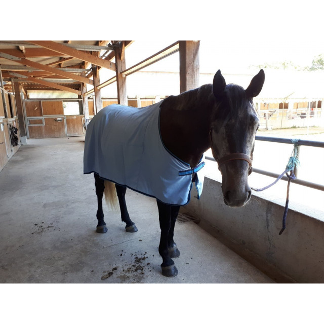 Chemise coton legere bleu ciel