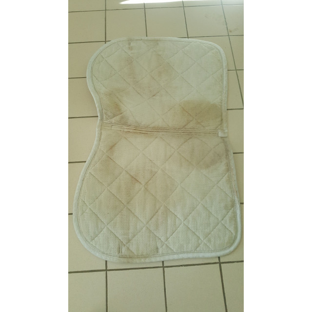 Tapis