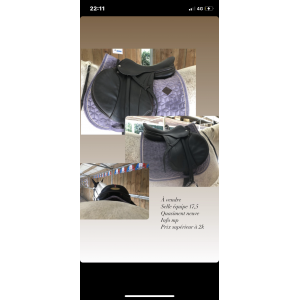 Selle équipe carbone