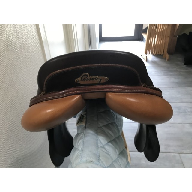 Selle Amo Pessoa 17,5