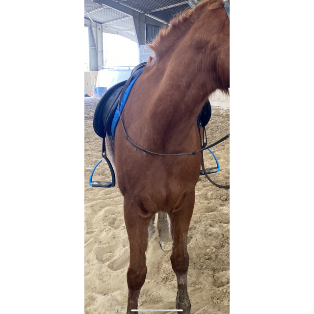 Etriers free jump soft up pro + ultra gripp