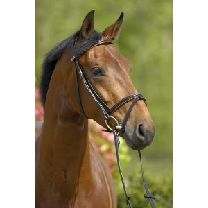 Bridon noir STUBBEN LIMERICK 3000