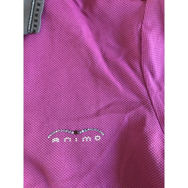 Polo animo