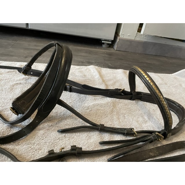 Bridon dans marque avec rênes