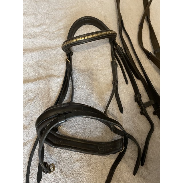 Bridon dans marque avec rênes