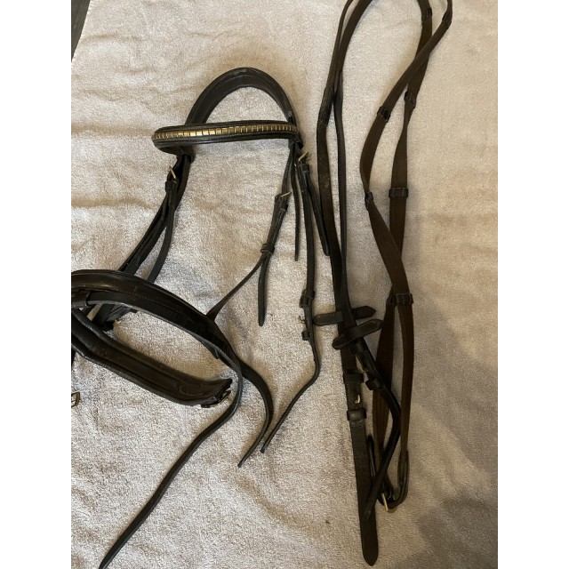 Bridon dans marque avec rênes