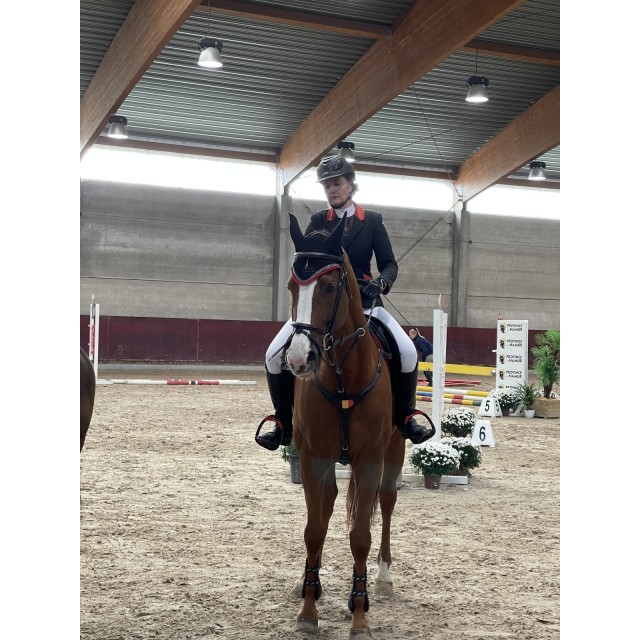 Collier chasse Antares Klipper