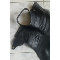 Mini- chaps EQUITHEME premieum- adulte