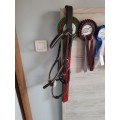 Bridon clincher marron taille cheval