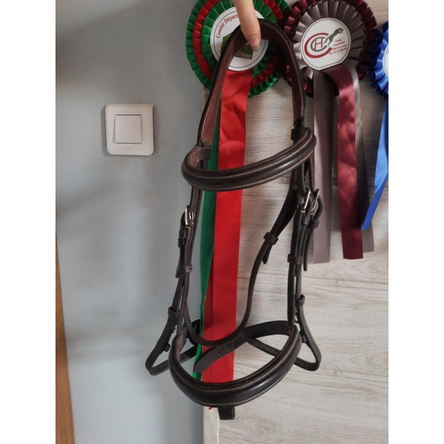 Bridon dyon marron cob