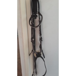 Bidon muserolle croisée