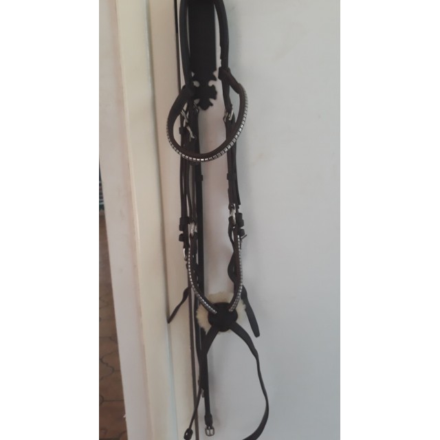 Bidon muserolle croisée