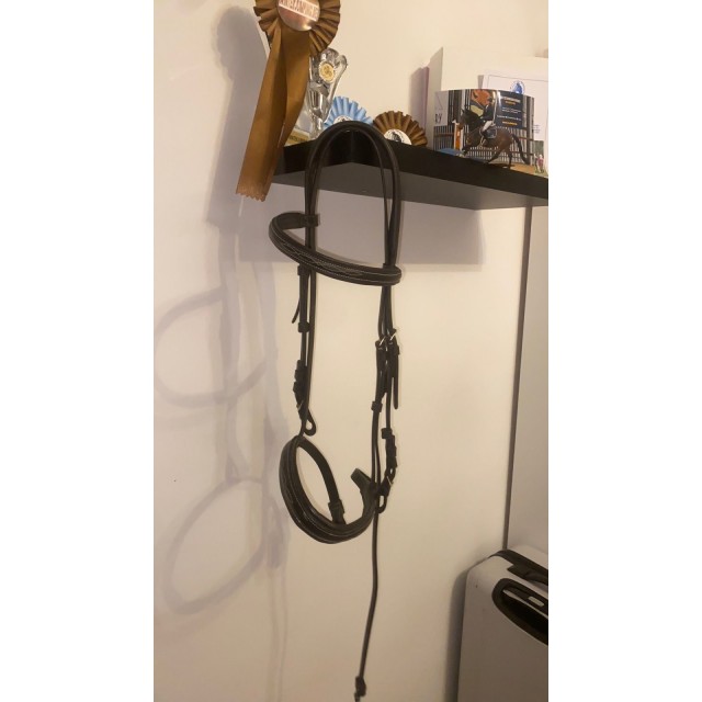 Ensemble bridon / collier de chasse