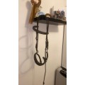 Ensemble bridon / collier de chasse