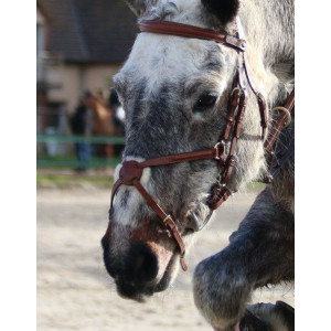 Filet Bruno Delgrange