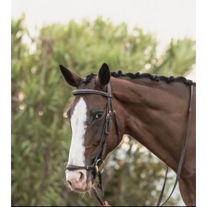 Filet dy on avec muserolle allemande