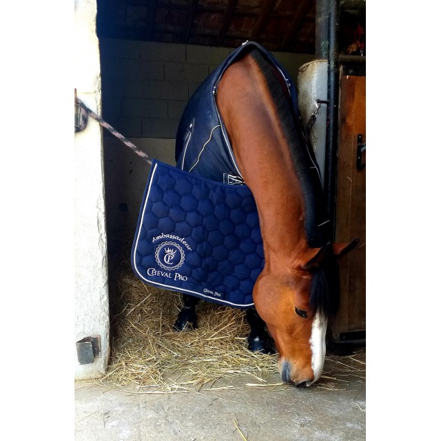 Divers tapis