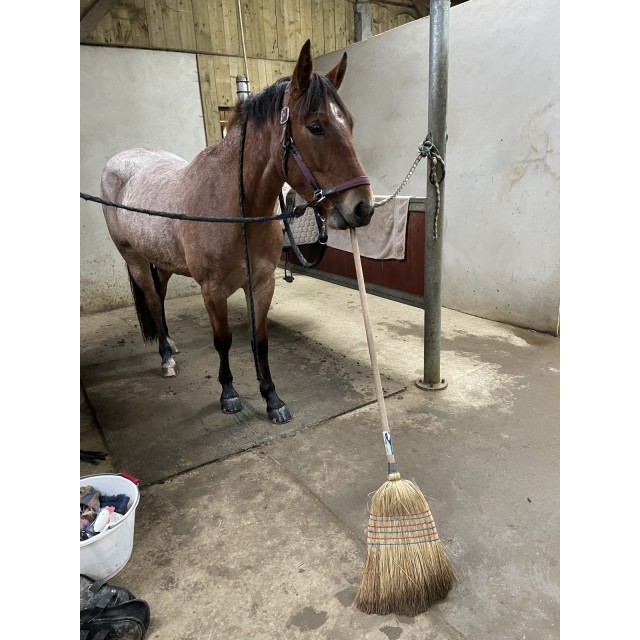 Bottes Privilège Valentina